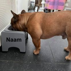 Naam voorbeeld grijs